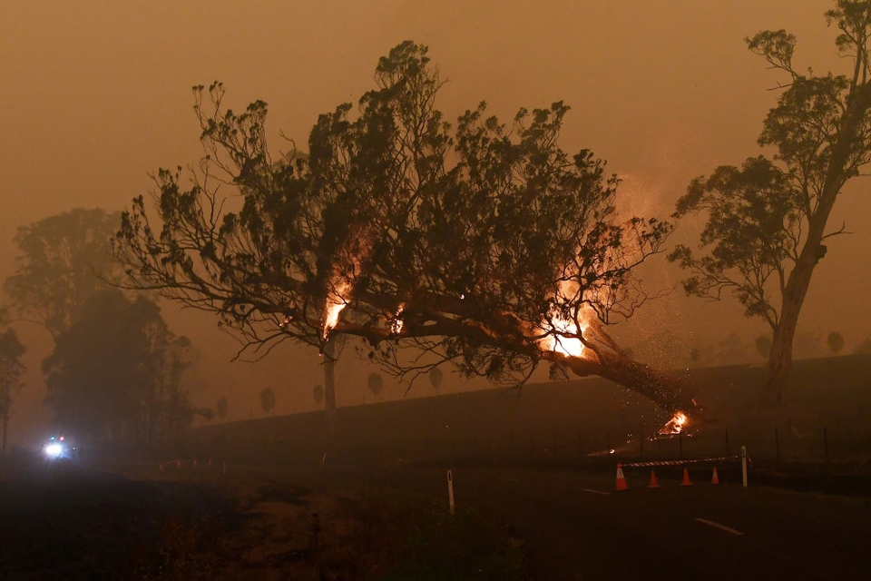 Australiens østkyst har haft hårdt brug for regn efter de skovbrande, der i øjeblikket hærger landet. Nu skaber regnen nye problemer med oversvømmelser. (Foto: Ritzau/Scanpix)