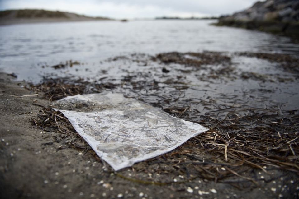 Forsyningsselskabet Hofor skulle i den kommende uge have udledt 290.000 kubikmeter spildevand i Øresund, men udledningen bliver nu udskudt til efteråret. (Arkivfoto)